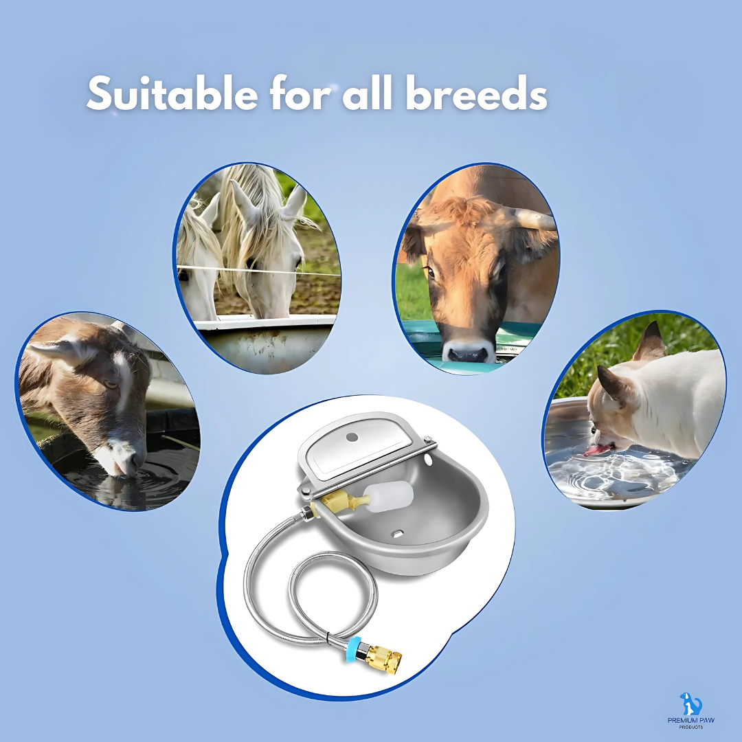 Pawvara – Automatic Stainless Steel Pet Water Bowl