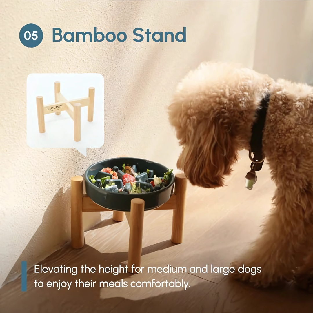 Furrora – Ceramic Slow Feeder Dog Bowl