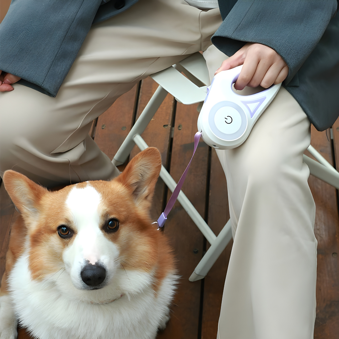 LunaraPets™ – Retractable Dog Leash with LED Light & Collar Set
