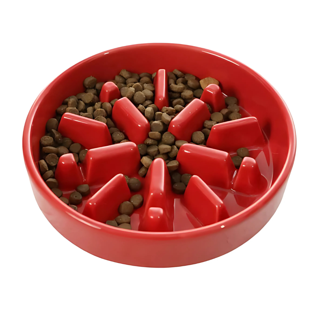 Furrora – Ceramic Slow Feeder Dog Bowl