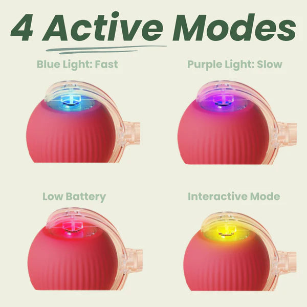 Pawdia™ – Smart Interactive Pet Toy Ball for Cats & Dogs