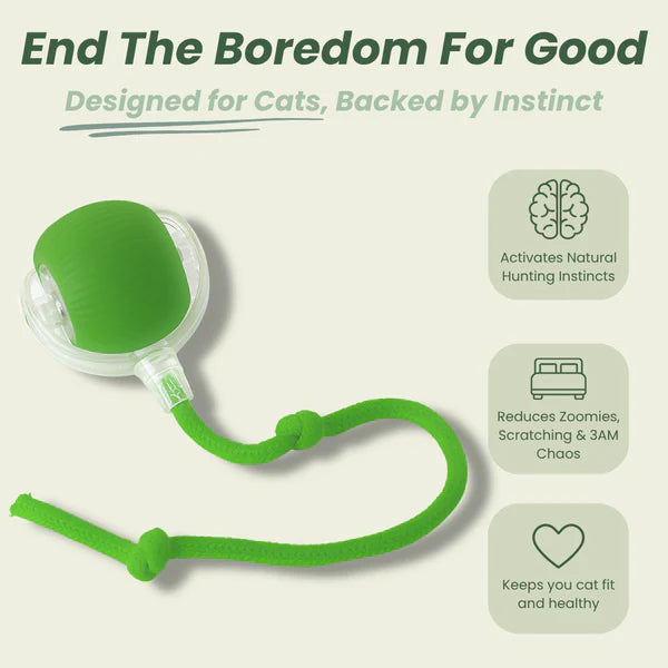 Pawdia™ – Smart Interactive Pet Toy Ball for Cats & Dogs