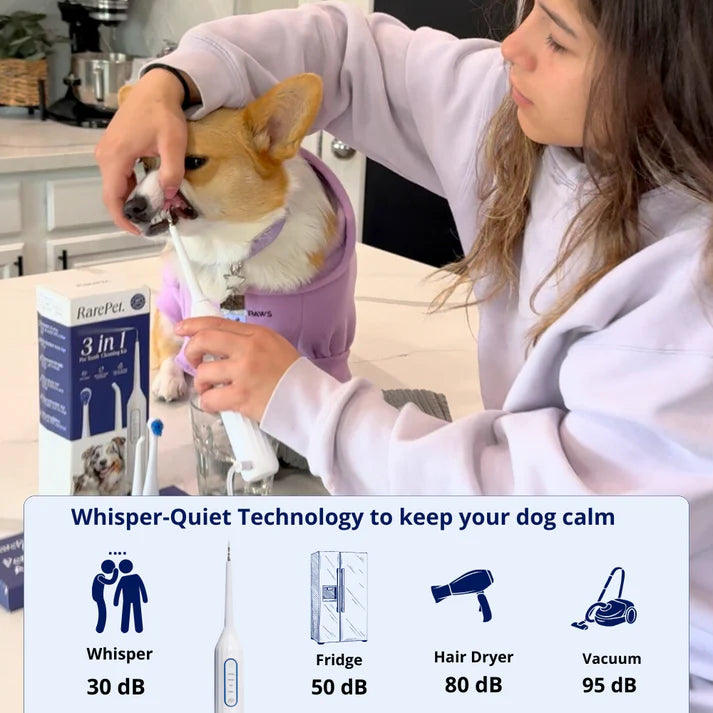 Pawvia™ – Silent Sonic Dog Plaque & Tartar Remover Kit