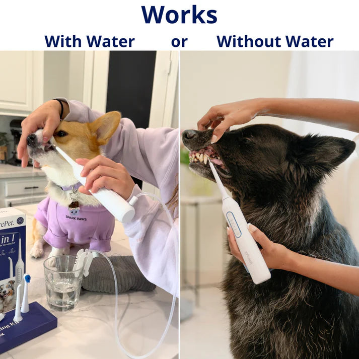 Pawvia™ – Silent Sonic Dog Plaque & Tartar Remover Kit
