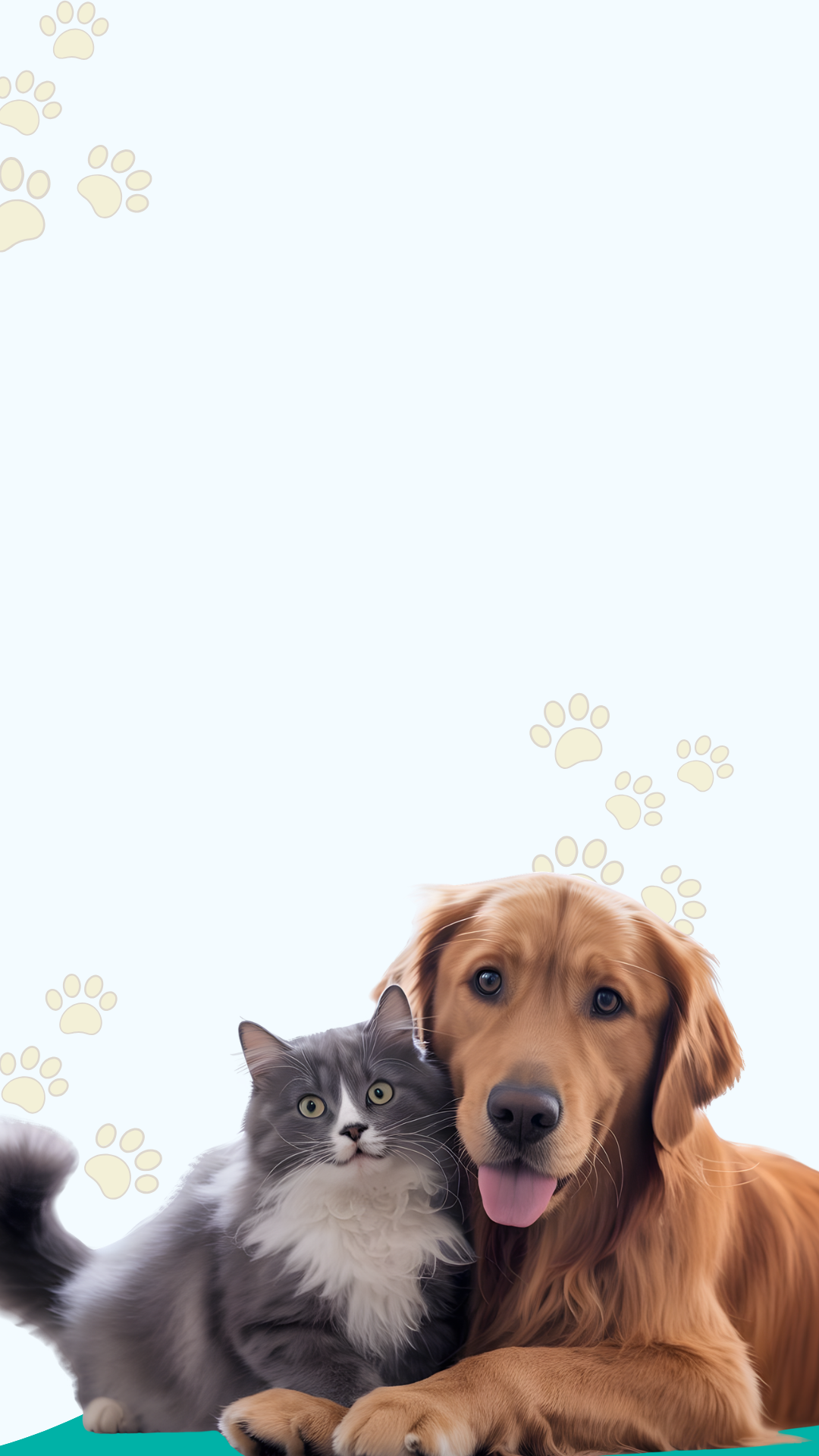Cat and dog sitting together on a white background with paw prints.