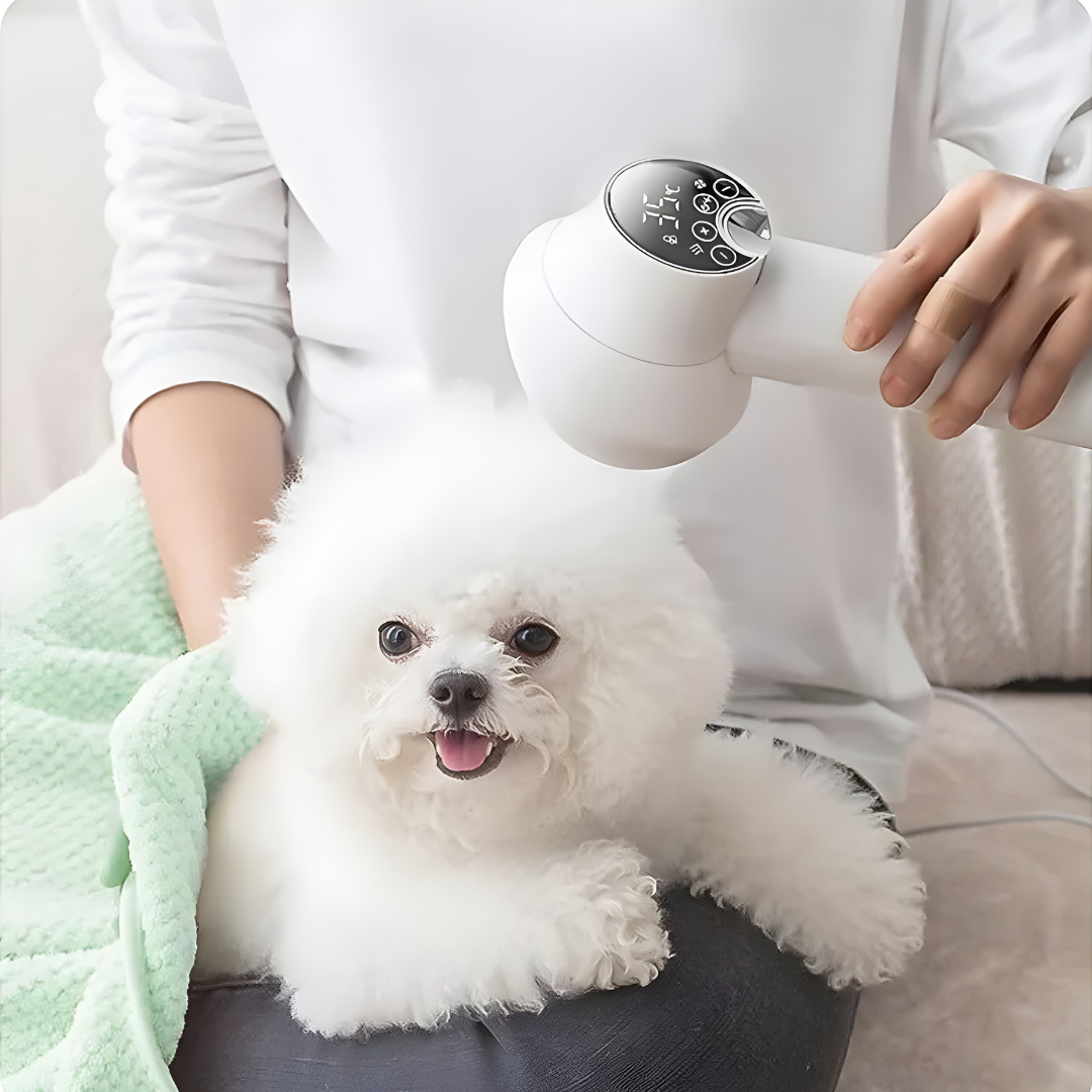 Pawdrya™ – Smart Pet Hair Dryer & Comb for Dogs & Cats