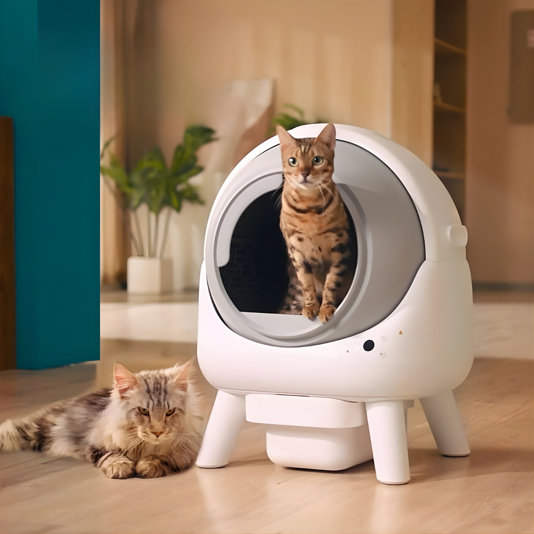 Whiskora™ – Wide Opening Smart Self-Cleaning Litter Box