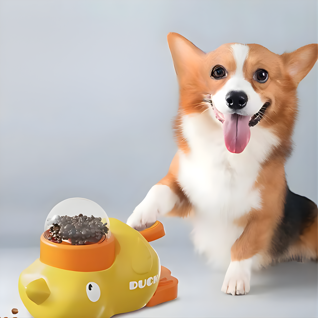 Zevora – Interactive Pet Feeder Toy for Dogs and Cats