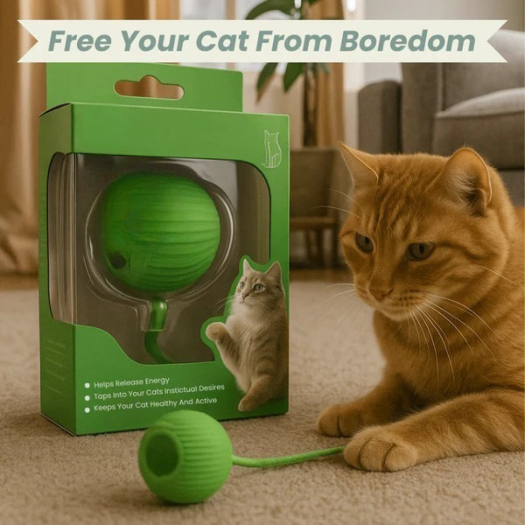 Pawdia™ – Smart Interactive Pet Toy Ball for Cats & Dogs