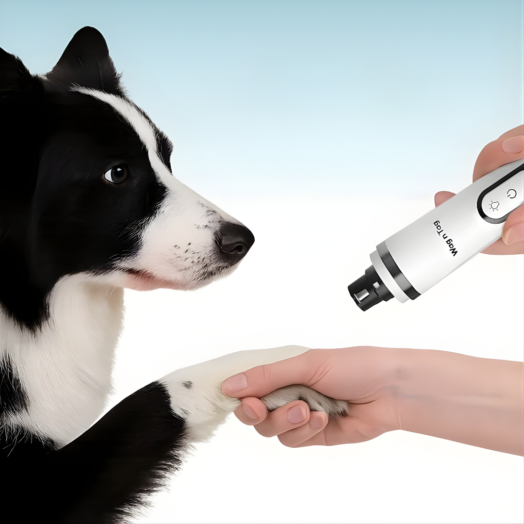 Lunarapaws – Silent Nail Grinder for Dogs & Cats