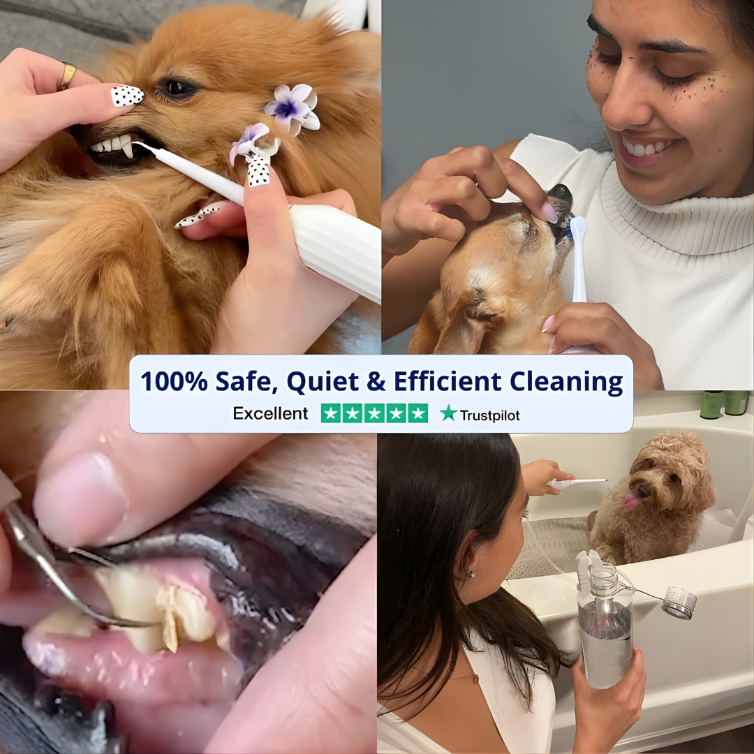Pawvia™ – Silent Sonic Dog Plaque & Tartar Remover Kit