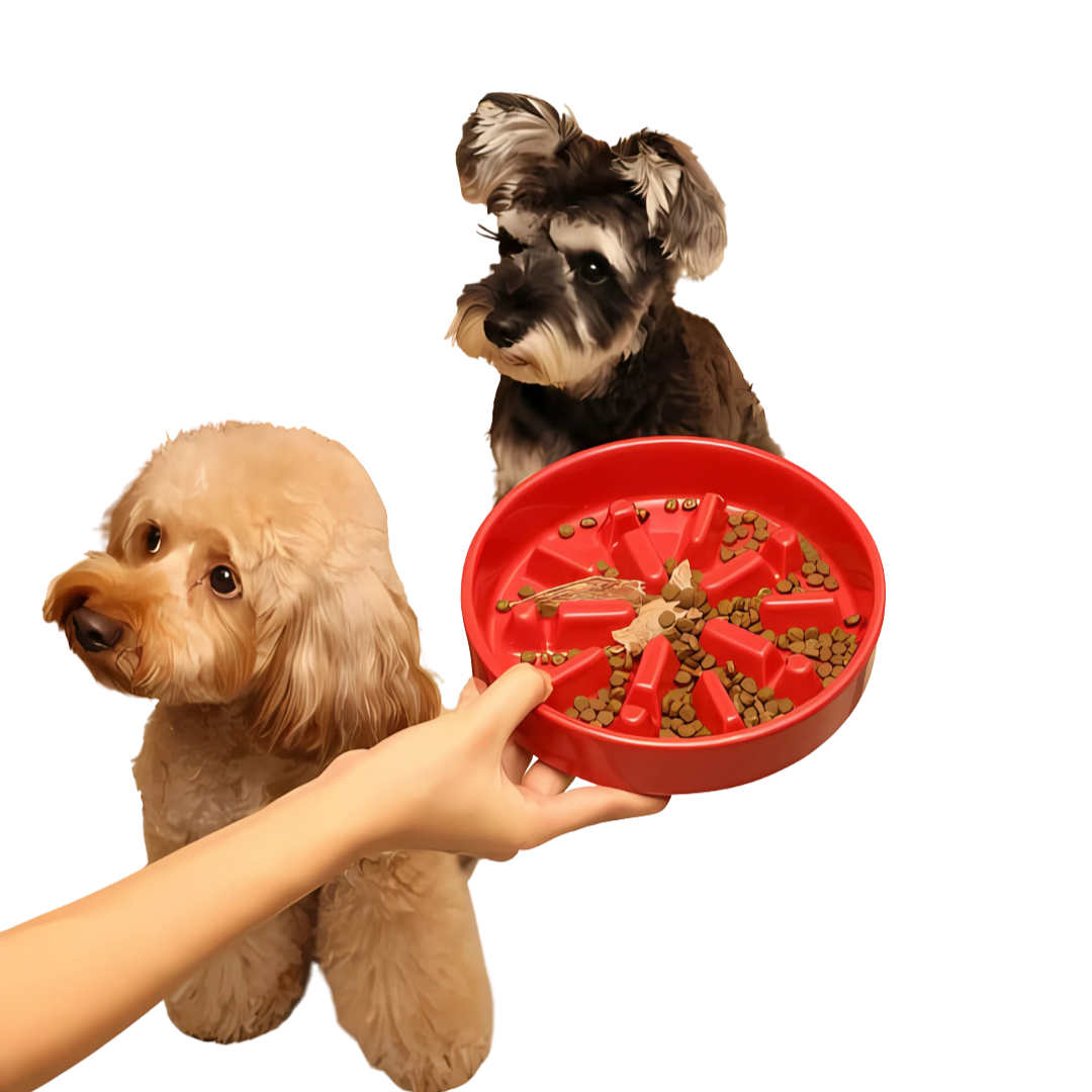 Furrora – Ceramic Slow Feeder Dog Bowl