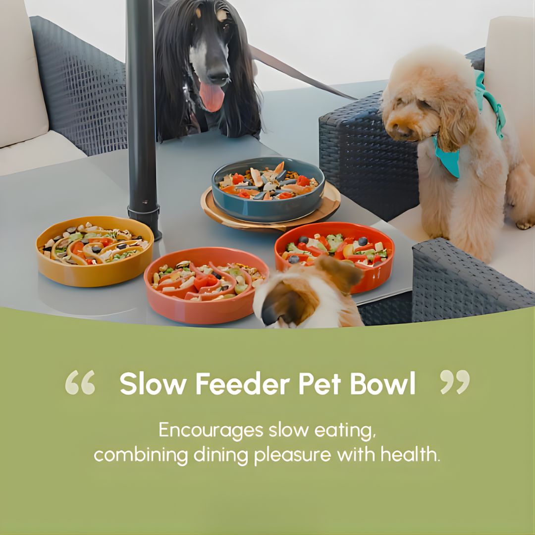 Furrora – Ceramic Slow Feeder Dog Bowl
