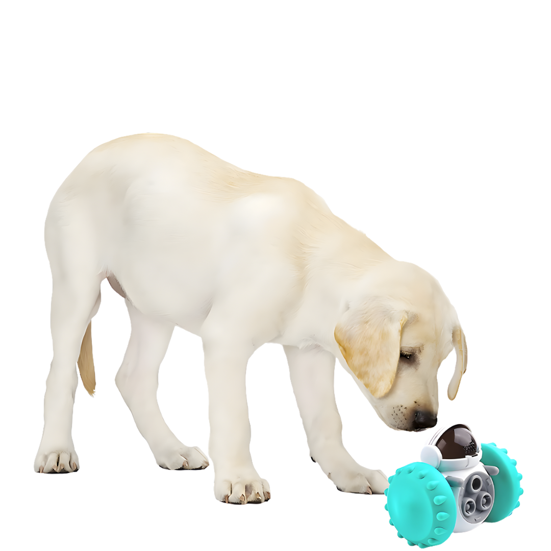 Lunara – Smart Dog & Cat Food Puzzle Toy Car