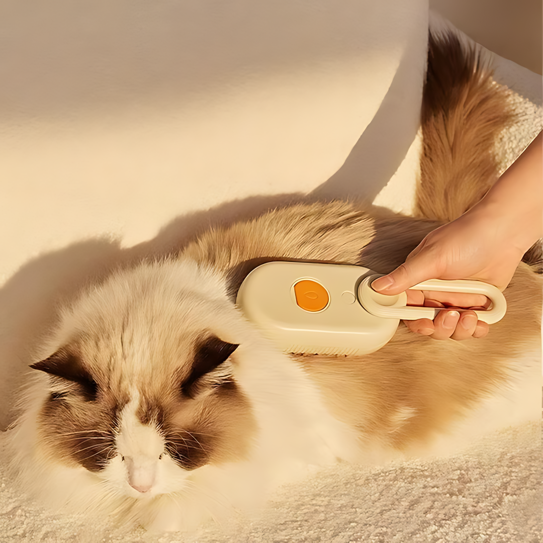 Furriva – Pet Steam Brush for Easy Grooming