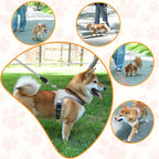Pawluna – Breathable Reflective Dog Harness & Leash Set