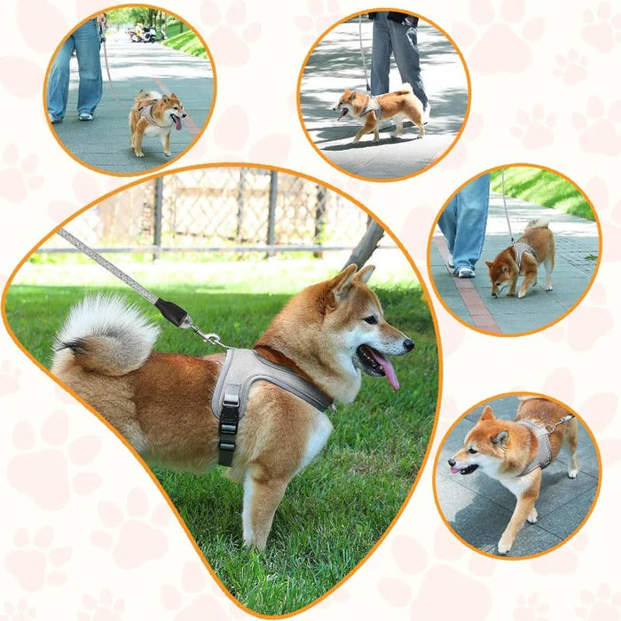 Pawluna – Breathable Reflective Dog Harness & Leash Set