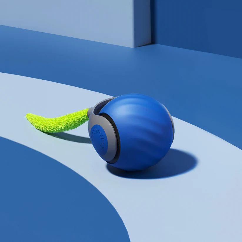 Zyphora – Interactive Motion Cat Toy Ball for Active Play