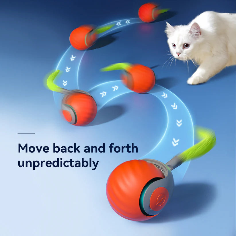Zyphora – Interactive Motion Cat Toy Ball for Active Play