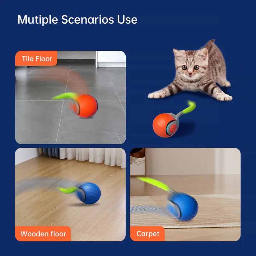 Zyphora – Interactive Motion Cat Toy Ball for Active Play