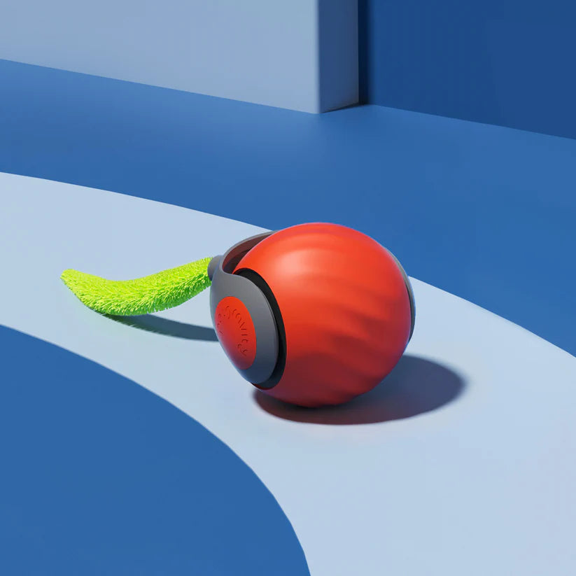 Zyphora – Interactive Motion Cat Toy Ball for Active Play