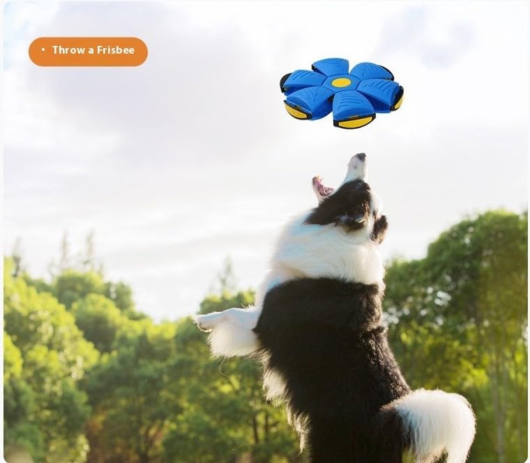 Pawzora – Transforming Flying Disc Dog Toy Ball