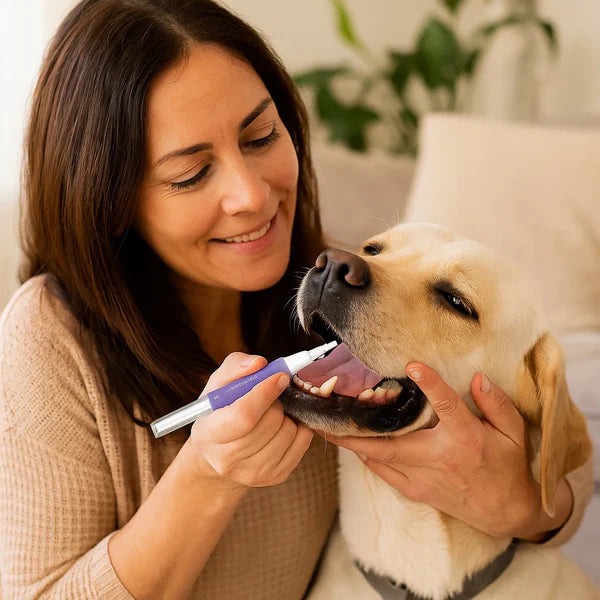 Pawsera – Pet Dental Care Cleaning Pen for Dogs & Cats