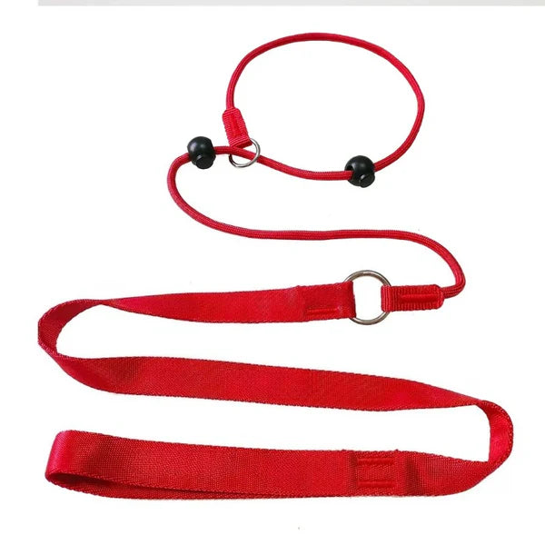 Pawsera – 2-in-1 Slip Dog Leash & Training Collar with Anti-Tangle Swivel