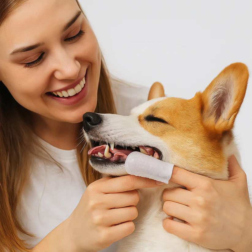 Pawdora – Tooth Cleaning Finger Wipes for Dogs & Cats | Pet Dental Care Finger Wipes