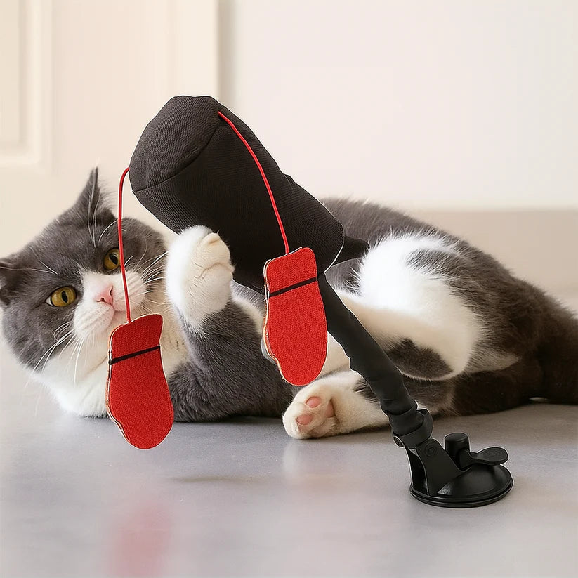 Pawvora – Interactive Cat Punching Bag Toy for Active Play & Stress Relief