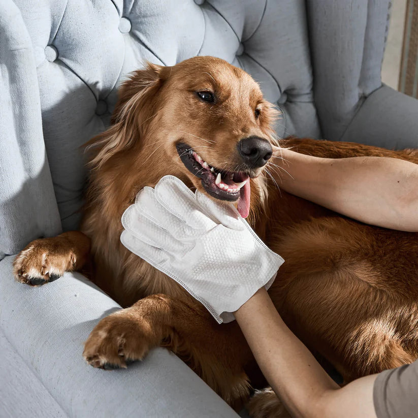 Pawvera – Pet Grooming Glove Cleaning Wipes for Dogs & Cats