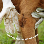 Pawvera – Pet Grooming Glove Cleaning Wipes for Dogs & Cats