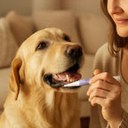 Pawsera – Pet Dental Care Cleaning Pen for Dogs & Cats