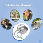 Pawvara – Automatic Stainless Steel Pet Water Bowl