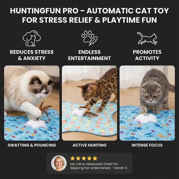 Purrlix – Interactive Automatic Cat Toy for Playtime & Stress Relief