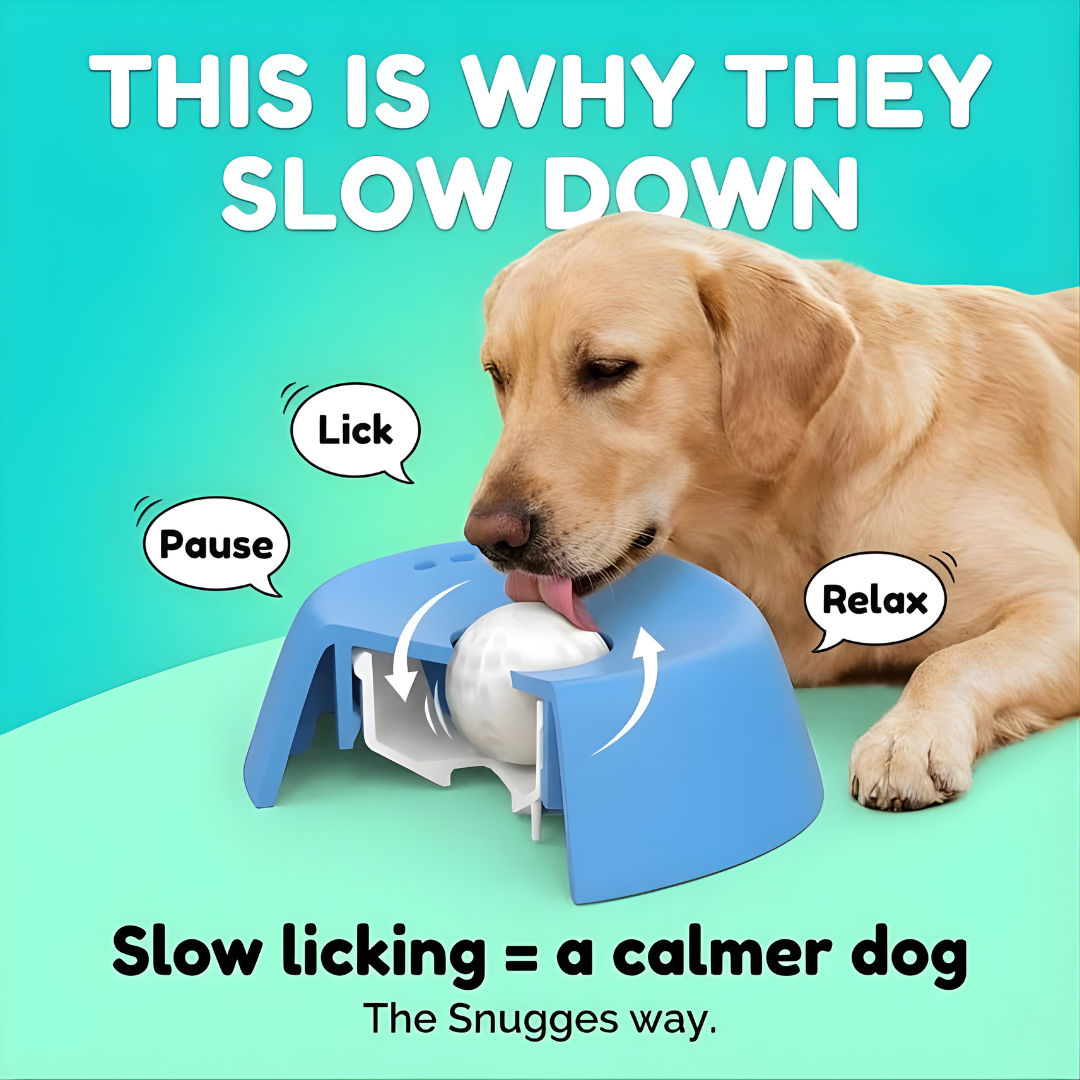 Luniva – Interactive Dog Lick Bowl for Healthy Snacking