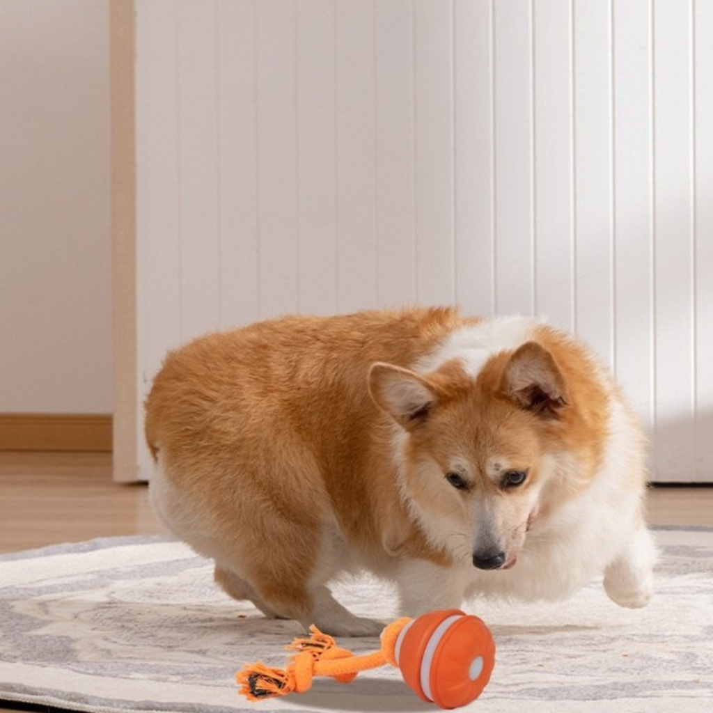 Zephora™ – Interactive Motion-Smart Dog Toy Ball