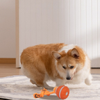 Zephora™ – Interactive Motion-Smart Dog Toy Ball