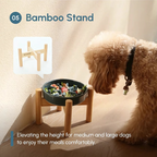 Furrora – Ceramic Slow Feeder Dog Bowl