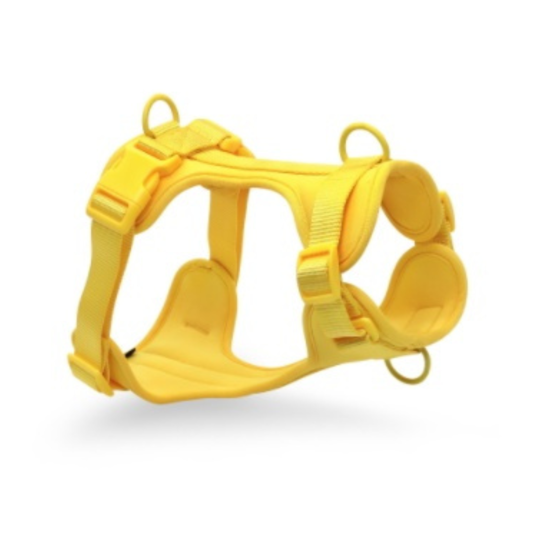 Pawnera™ – No-Pull Dog Chest Harness for Safer, Happier Walks