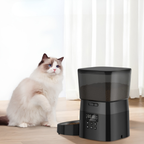 Cat sitting next to a black pet food dispenser on a wooden floor with white curtains in the background.