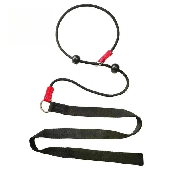Pawsera – 2-in-1 Slip Dog Leash & Training Collar with Anti-Tangle Swivel