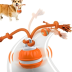 Zephora™ – Interactive Motion-Smart Dog Toy Ball