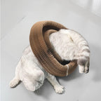 Curluna™ – Interactive Cat Toy for Mental & Physical Stimulation