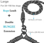Pawvera – Heavy Duty Shock-Absorbing Dog Leash for Strong Pullers