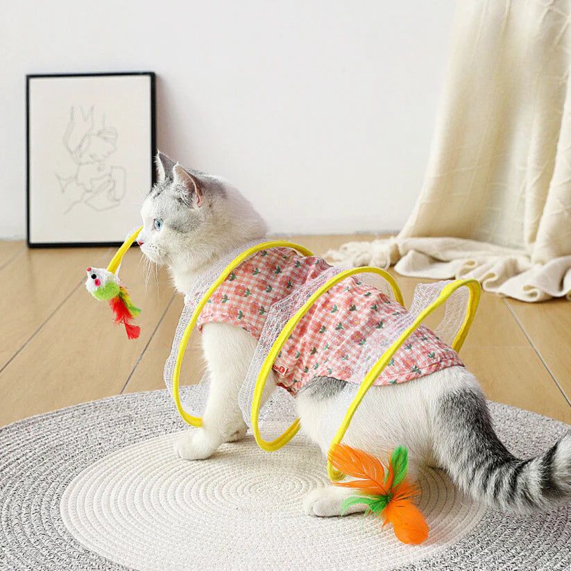 Whirra – Interactive Cat Spiral Toy for Active Play & Mental Stimulation