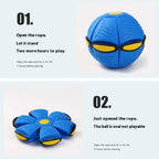 Pawzora – Transforming Flying Disc Dog Toy Ball