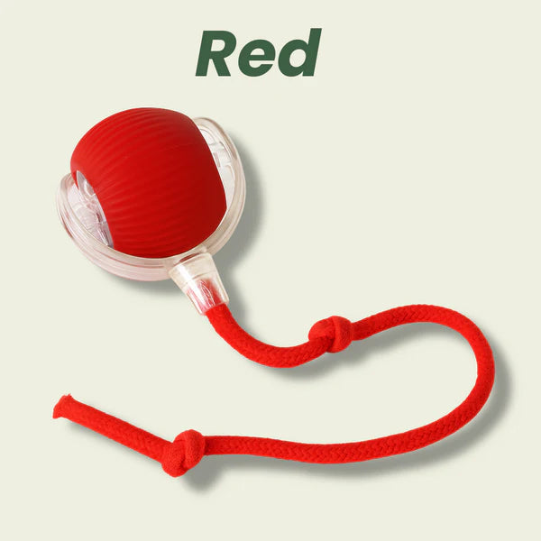 Pawdia™ – Smart Interactive Pet Toy Ball for Cats & Dogs