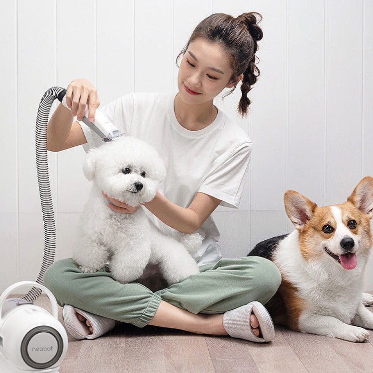 Pawterra™ – 6-in-1 Pet Grooming & Vacuum Kit