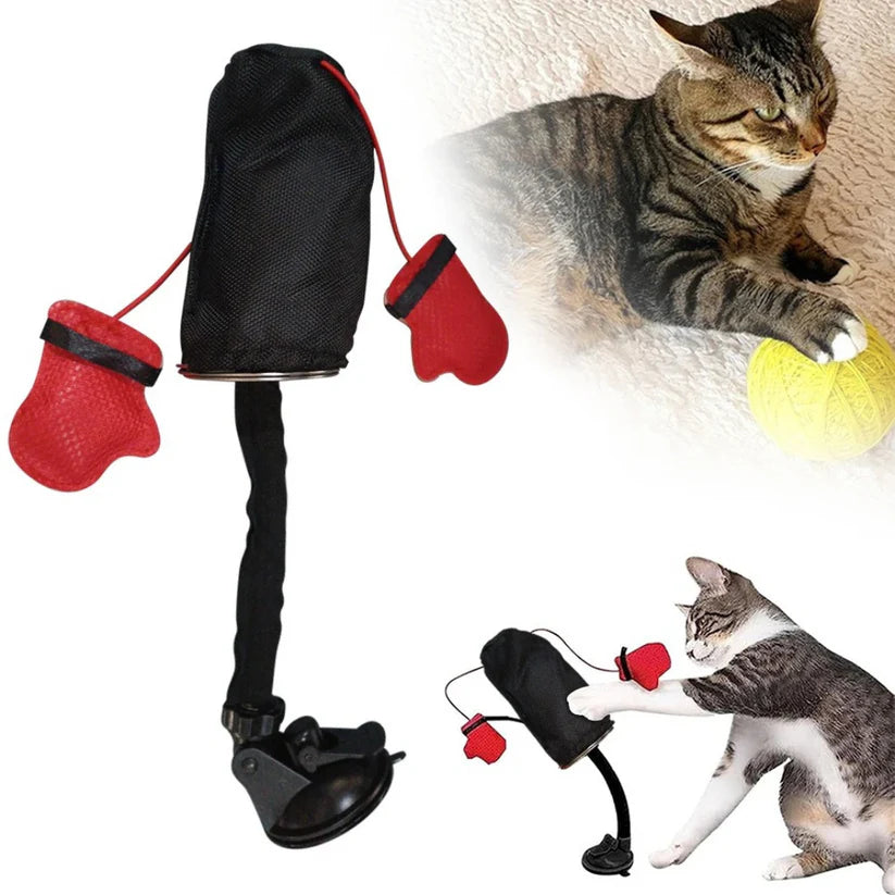 Pawvora – Interactive Cat Punching Bag Toy for Active Play & Stress Relief